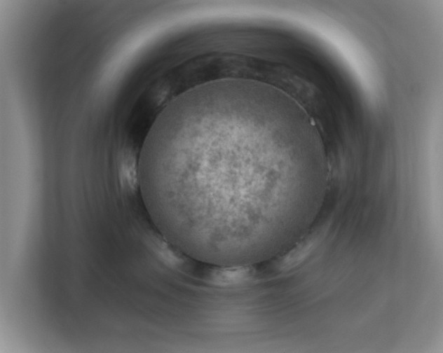 X0000111040479200907021602