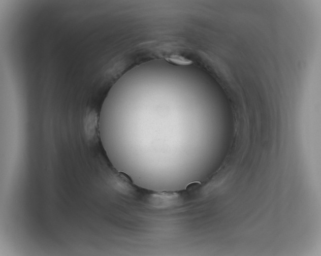 X0000111040480200907021602