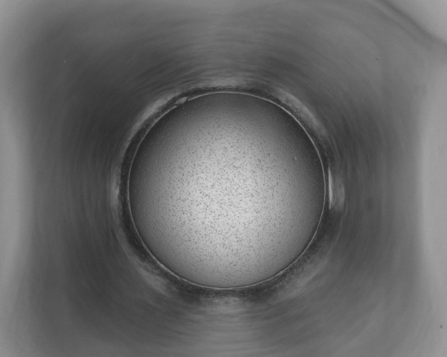 X0000111040483200907021601