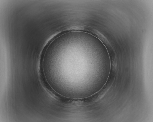 X0000111040484200907021601