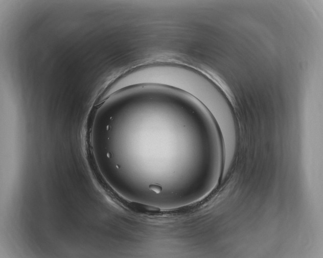 X0000111040485200907021601