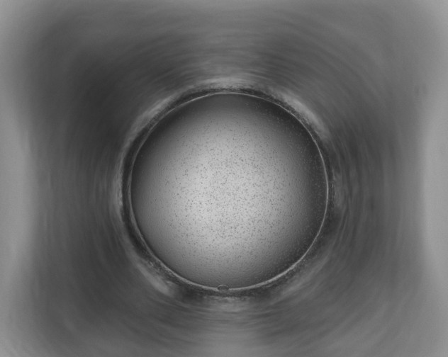 X0000111040486200907021601