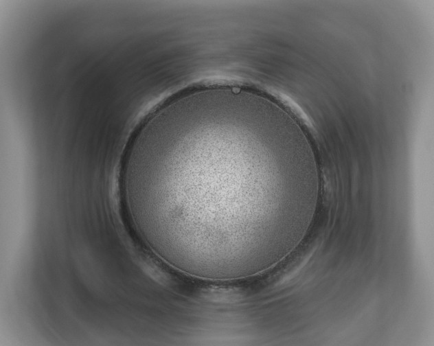 X0000111040487200907021601