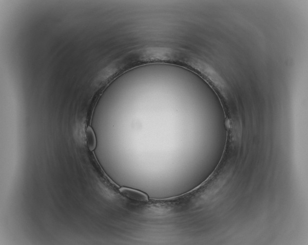 X0000111040489200907021601