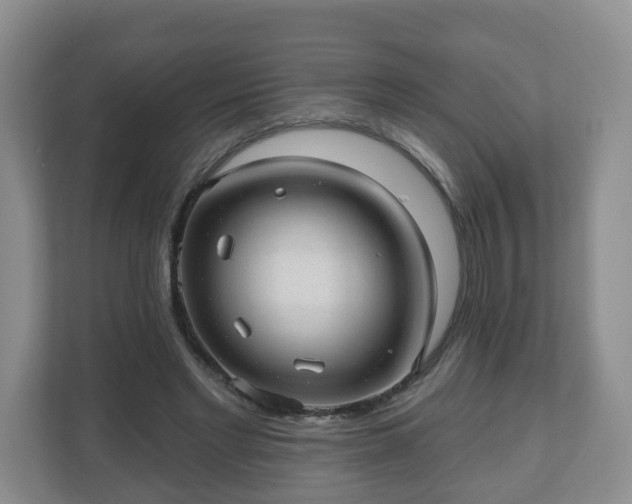 X0000111040493200907021601