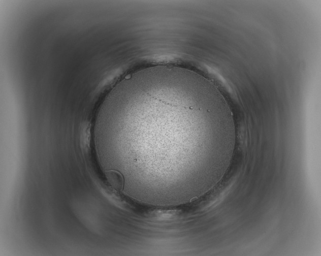 X0000111040495200907021601