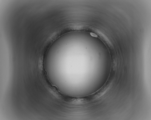 X0000111040497200907021601