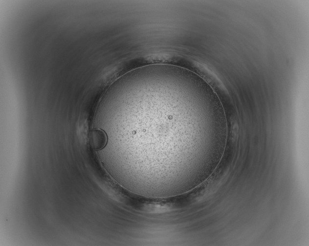 X0000111040498200907021601