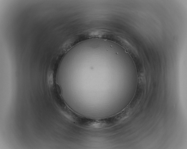 X0000111040504200907021601