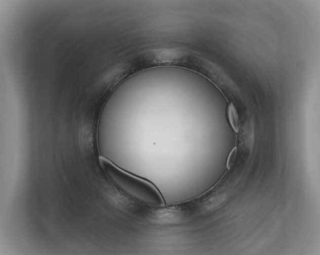 X0000111040505200907021601