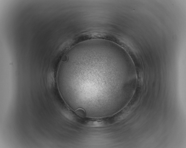 X0000111040506200907021601