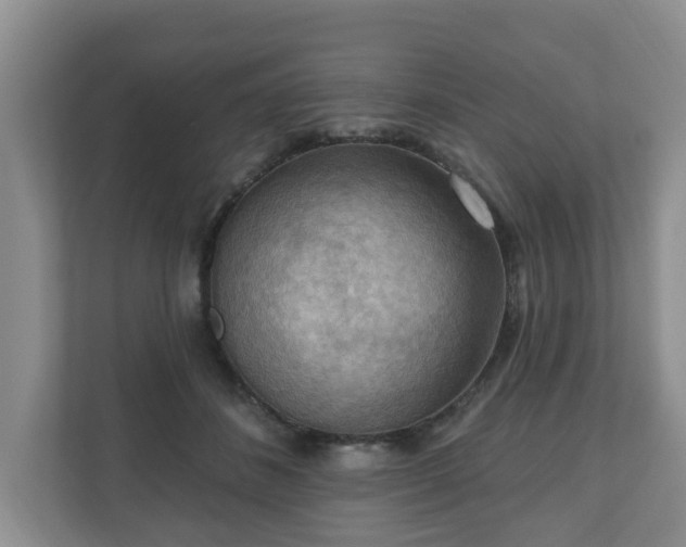 X0000111040508200907021601