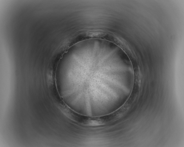 X0000111040510200907021601