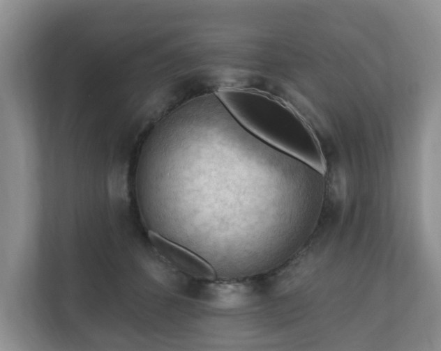 X0000111040512200907021601