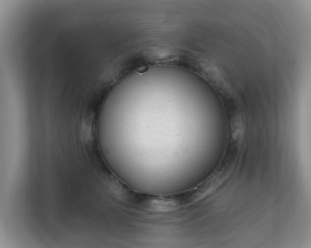 X0000111040515200907021601