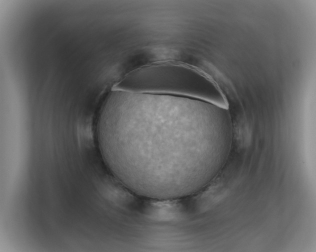 X0000111040516200907021601