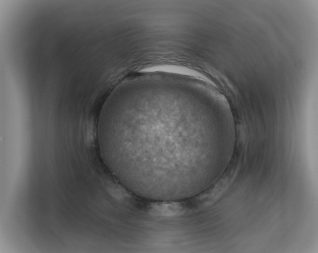X0000111040517200907021601