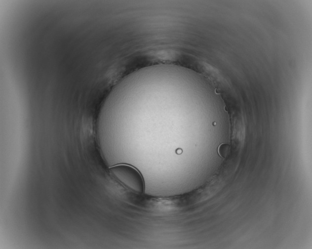 X0000111040518200907021601