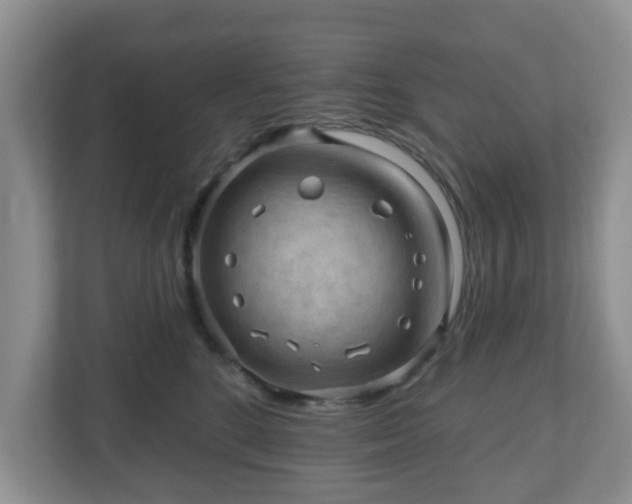 X0000111040520200907021601