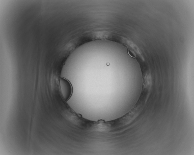 X0000111040522200907021601