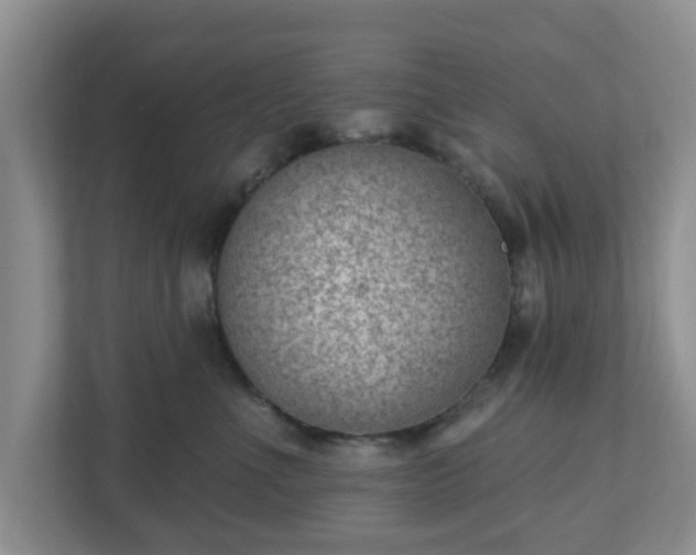X0000111040523200907021601