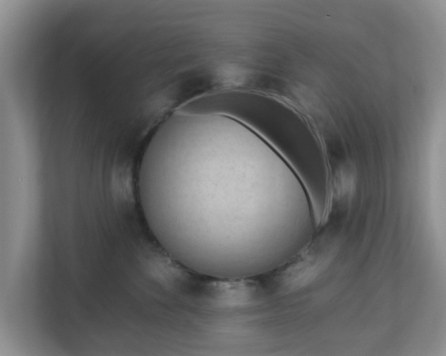 X0000111040524200907021601