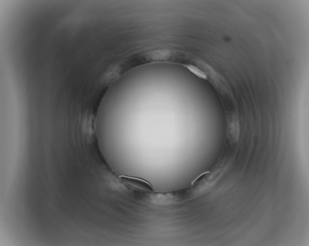 X0000111040525200907021601
