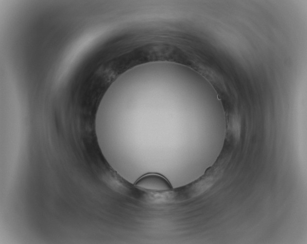 X0000111040526200907021601