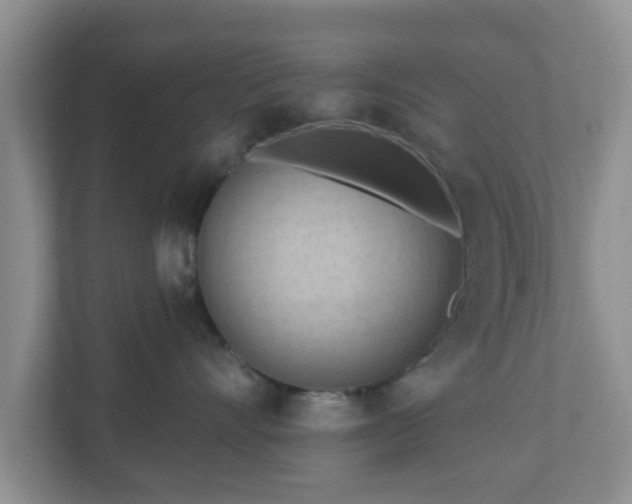 X0000111040528200907021601