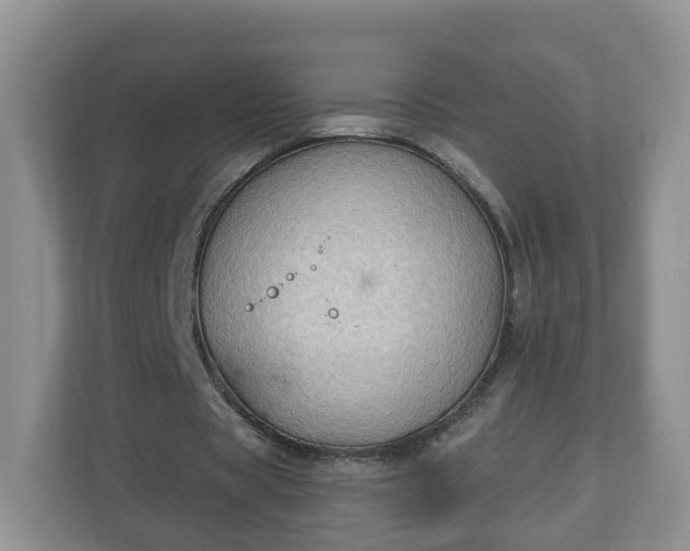 X0000111040529200907021600