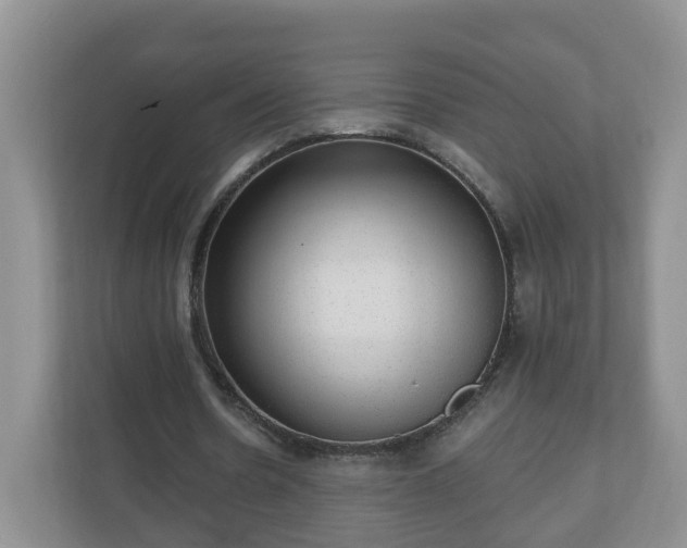 X0000111040530200907021600