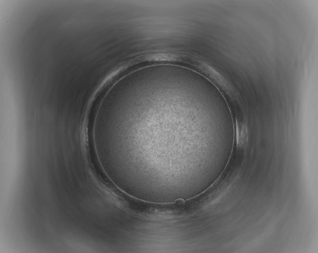 X0000111040531200907021600