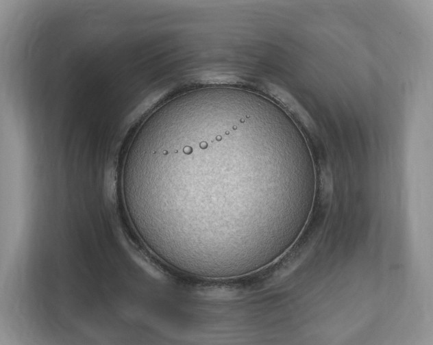 X0000111040533200907021600