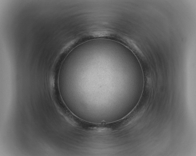 X0000111040539200907021600