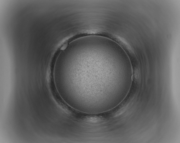 X0000111040540200907021600