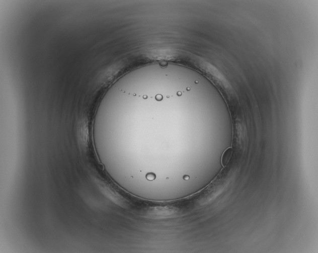 X0000111040541200907021600
