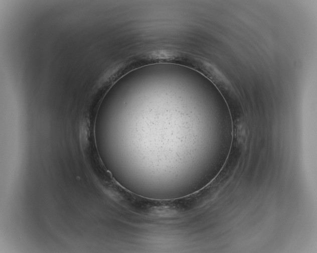 X0000111040544200907021600