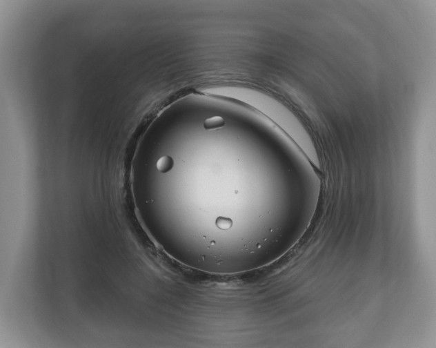 X0000111040548200907021600