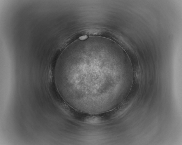 X0000111040551200907021600