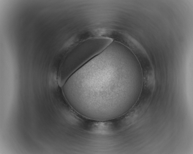 X0000111040558200907021600