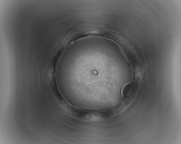 X0000111040559200907021600