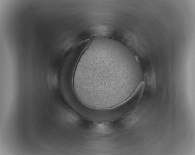 X0000111040564200907021601
