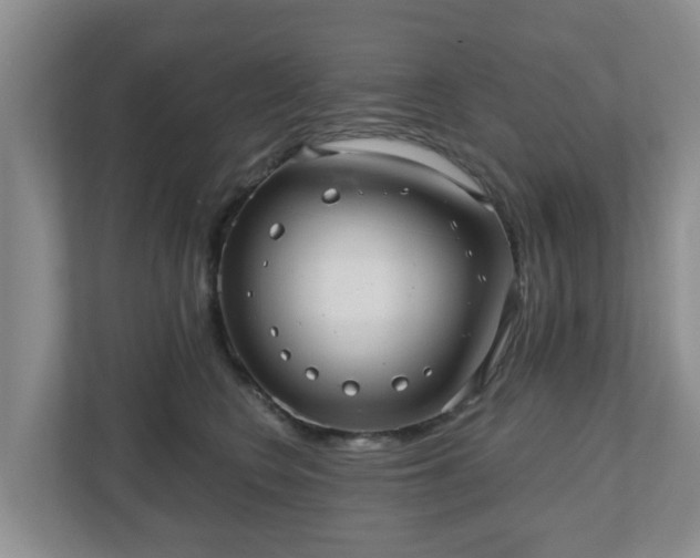 X0000111040566200907021601