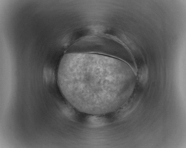 X0000111040568200907021601