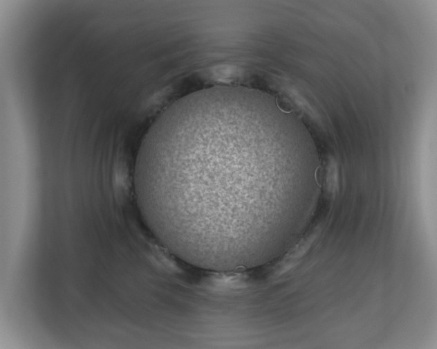 X0000111040569200907021601