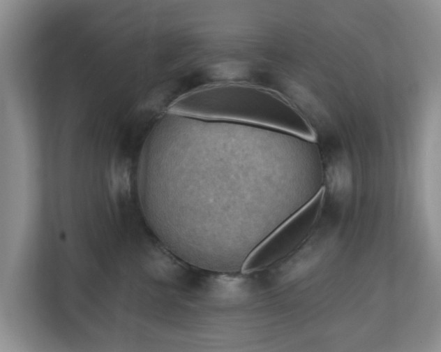 X0000111040570200907021601