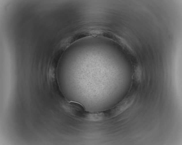 X0000111040571200907021601
