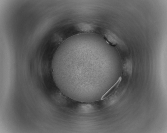 X0000111040572200907021601