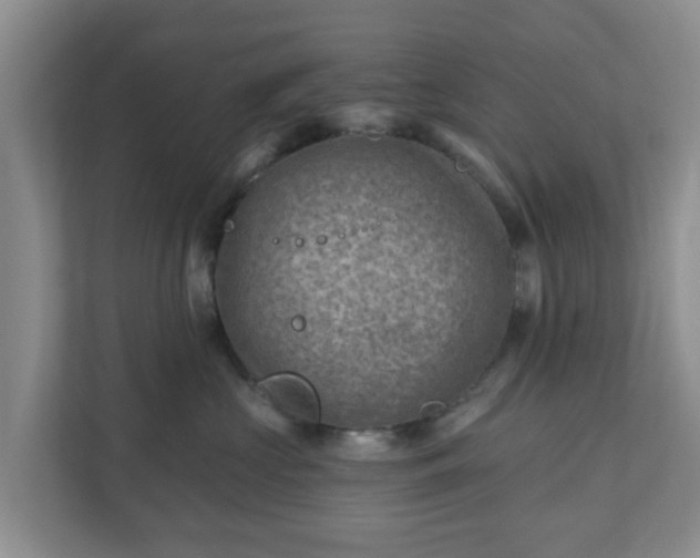 X0000111040573200907021601