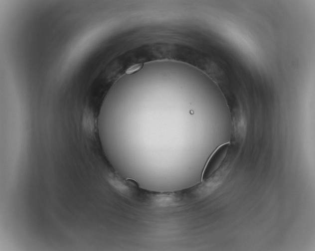 X0000111040574200907021601